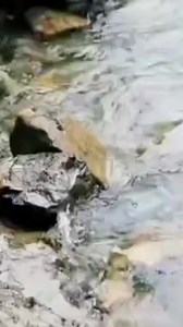 Discover Old China while cruising on the Yangtze River. 🚢 🙌 😍 #travel #cruise #yangtze #river #luxury #centurycruises #china | Century Cruises