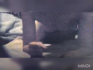 後ろからぶちこんで！