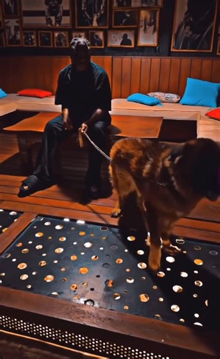 Stonebwoy With His Bulldog 🦮 | Nathaniel Awini