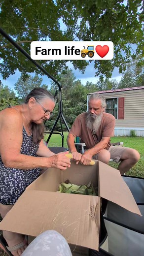Let the shucking begin. We were gifted sweet corn 🌽 #farmlivingisthelifeforme | Melanie Garrett Dugan