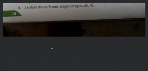 Explain the different stages of agriculture. 18... | Filo