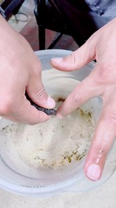 Stripping my African Cichlid #fish #aquarium #aquariums #cichlid #cichlids #cichlidtank #cichlidkeeper | Boss Aquatics