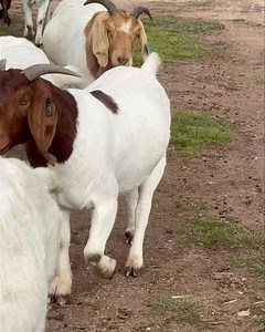 4.8K views · 211 reactions | Here is a list of some things to check...