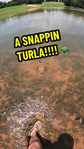 Snappin' Turtle! Watch a Snapper Catch and Hold — Fishing Turtle Clip