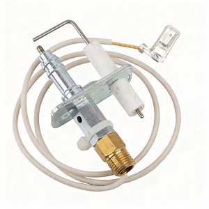 [Hot Item] Jiali Custom Ods Gas Pilot Burner Assembly with Flame Sensor