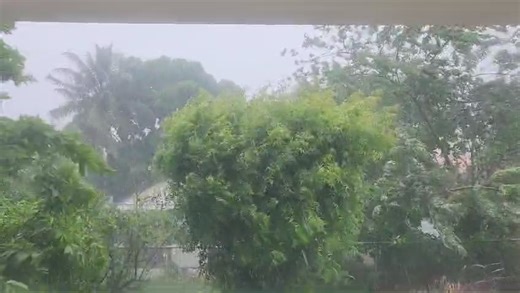 Strong winds howl in Gros Islet, Saint Lucia as #HurricaneBeryl barrels towards the Windward Islands and Tobago. Children are especially vulnerable in severe weather events like this Category 4 hurricane. Stay safe & follow emergency instructions! 🎥: UNICEFECA/2024/Lewis CDEMA - Caribbean Disaster Emergency Management Agency UN Barbados and OECS UNICEF Latin America and Caribbean NEMO St. Vincent and the Grenadines ODPMTT Child Protection Authority Grenada NaDMA Grenada #Caribbean #hurricane #c