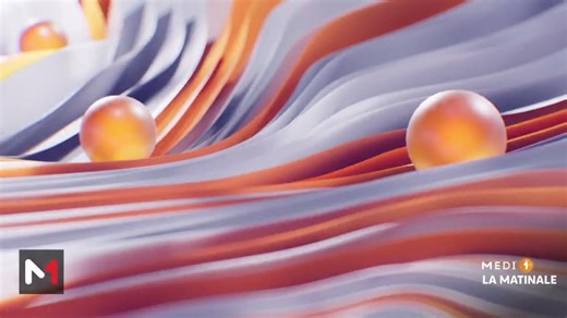 L'invité : zoom sur les #peines_alternatives avec Driss Agoulmam #LaMatinale | Medi1TV Afrique