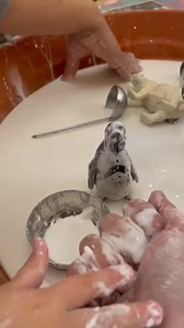 ‎Add a caption... Hands-on fun with gloop! ✨ Watching these little explorers get messy and creative—pure joy in every squish! #KidsInAction #GloopAdventures #MessyPlay | Kids Island Nursery