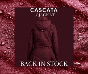 Premier Equine International Ltd on Reels