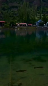 9.8K views · 57 reactions | Hadees Mubarka #hadees #islam #muslims #india #indian #pakistan | Makkah Madina | Facebook