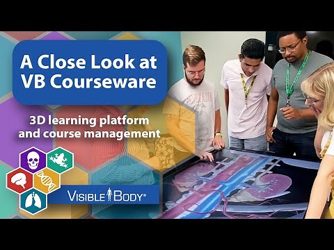 Visible Body | A Close Look at VB Courseware