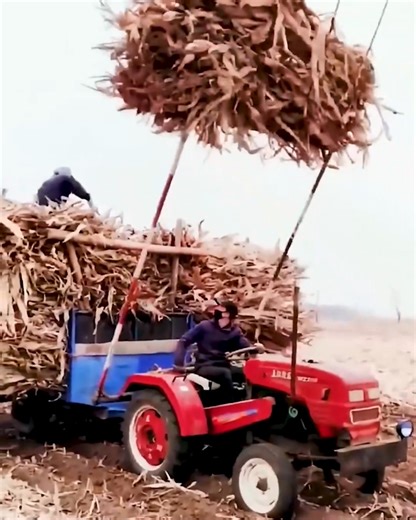 1.8K views | The importance of tools in the farming field | PittBulls | Facebook