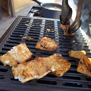 31K views · 637 reactions | Leopard Shark Catch Clean Cook! | Landshark Outdoors | Facebook