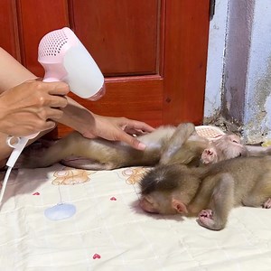 11K views · 676 reactions | Mommy baby care baby dud. | Tom & Jerry Family | Facebook