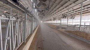 [Hot Item] Dairy Farm Equipmen Sprinkler System for Cooling The Cows' Body Surface