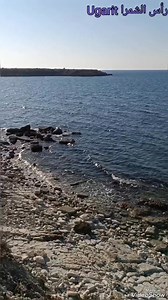 93K views · 2.3K reactions | الرائد العربي.. رأس الشمرا Ugarit | رأس الشمرا Ugarit | Facebook