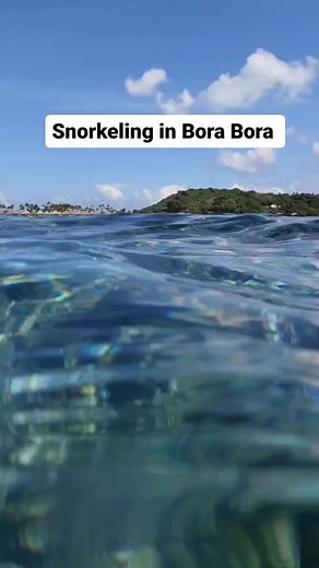 11 reactions | Snorkeling in Bora Bora!  The water is so warm and clear. And there's so many colourful fish! We got super lucky and spotted a huge Manta Ray. ✔️ Bucket list item checked!  . #borabora #boraboraisland #snorkeling #snorkelingtrip #snorkelling #frenchpolynesia | Traveling Canucks - Family Travel Blog | Facebook