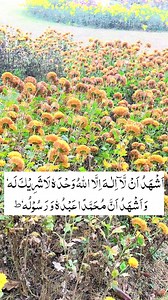 2.9K views · 316 reactions | Beautiful view of Botanical Garden Srinagar 勺 #kashmir #nature #explore | Kashmir Nature Explorer | Facebook