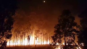Queensland: Flames rise above trees in Deepwater bushfire