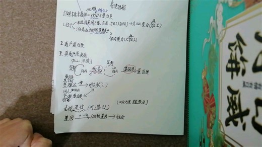 表观遗传 基因与性状