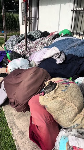 Easy Touch Hauling & Junk on TikTok