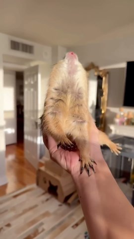 Poppy and Paxton Share Their Best Wahoos