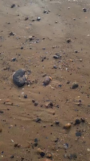 #redcarbeach #northeastengland #northeastcoast | Nat Moss Art