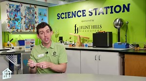 Learn about polymers! With Children’s Museum Houston educator, John, and show off the slime we’re making at the Science Station this week! This Brain Break is part of our "All-Time Access" program to connect you with our educators wherever you are - at school, at home, at play! Explore for FREE today: https://www.cmhouston.org/all-time-access Sponsored by Flint Hills Resources | Children's Museum Houston