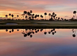 Jupiter Landscaping - Tropical Landscaping