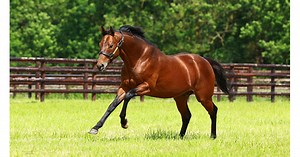 Planteur : une seconde jeunesse en Angleterre pour l'ancien globe-trotter