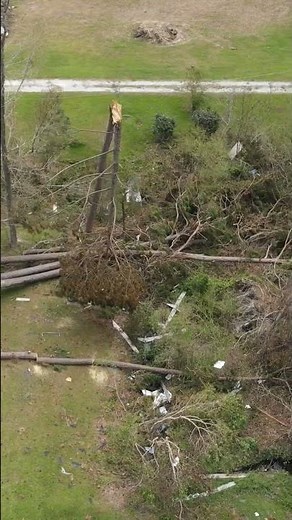 Biggest hanger we've ever seen!