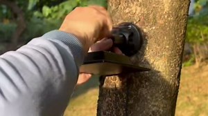 Blink Solar Panel with 4000mAh Battery 13ft Cable Rubber Plug and IP65 Waterproof,Solar USB C Charger Batteries for Blink Outdoor 4(4th Gen/3rd Gen/XT/XT2) Camera 2-PCAK