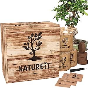 Natureit Bonsai Tree Kit - Unique Wooden Growing Kit. Everything Needed to Grow 4 Types of Bonsai Trees from Seeds. Indoor/Outdoor Gardening Gift Ideas for Plant Lovers. DIY Kits for Adults.