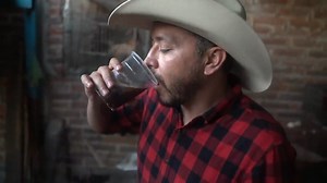 Originaria del estado de Jalisco, el pajarete es una bebida elaborada con leche bronca y alcohol del 96. SUSCRIBETE: www.youtube.com/c/larutadelagarnachamx | La Ruta de la Garnacha