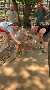 Someone is excited about getting to feed a kangaroo. | Kentucky Down Under Adventure Zoo