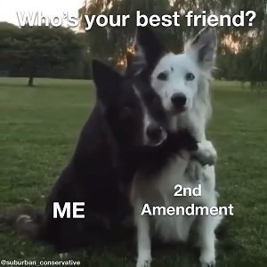 14K views · 342 reactions | Pretty much sums it up. | Alien Gear Holsters | Facebook