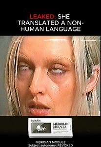 Leaked footage of Meridian Module Testing #fyp #foundfootage #analog #humAIn