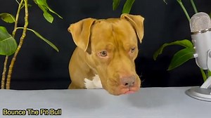 Clips45 Mukbang on Reels