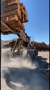 Wagner unloading. This can lift 120,000 lbs. #logging #bclogger #load...