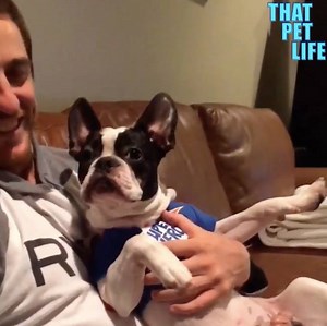 Sometimes you just gotta unleash your inner party animal, know what I mean? | Animal Tales