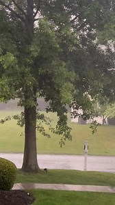 Rainy night… ☔️ | Bubba Show