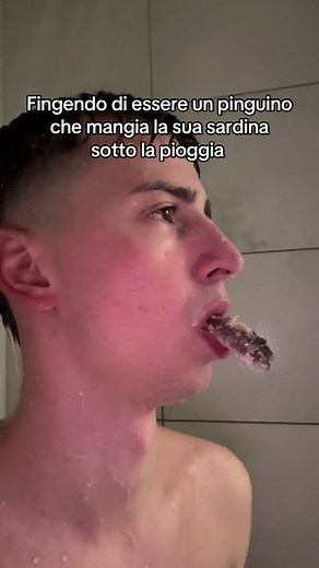 Pinguino mangia sardina sotto la pioggia