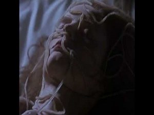 Body Snatchers (1993)