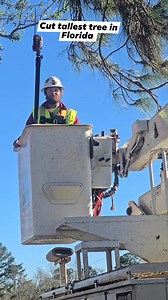 There has never been or ever will be someone as brave as this tree arborist that cut the tallest tree in all of Florida Jacob Austin | Gabe Romo