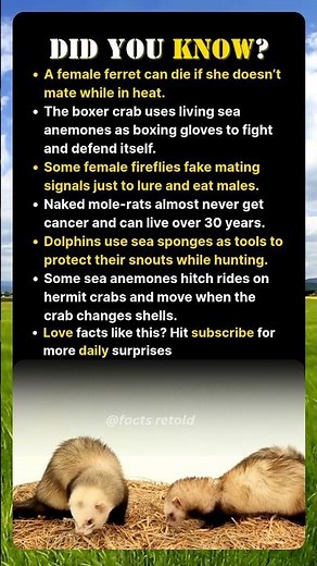 Unusual Behaviors in the Animal Kingdom Explained by Science