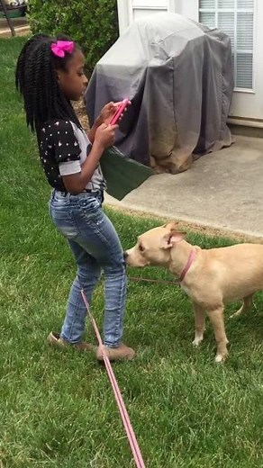 Dog humping sister