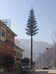 [Hot Item] Nature-Integrated Connectivity: Bionic Tree Telecom Towers Electric Tower Single Tower