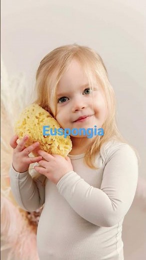 Euspongia