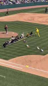 WHAT A RACE Via: @ihavethebeard | Sports Knightly Baseball