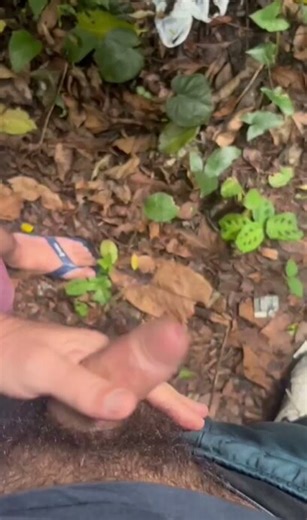 Cruising outside - video 6